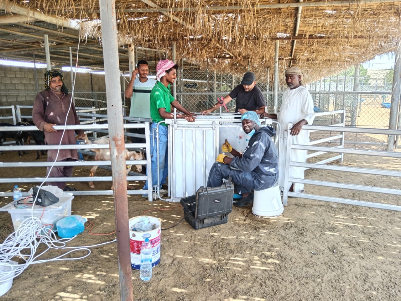 Introducing farmers to digital herd management.jpeg
